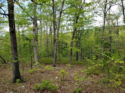 90.68 Acres Hunting/Recreational Land In Nashoba Oklahoma - image 13