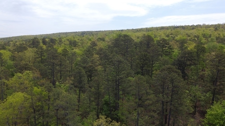 90.68 Acres Hunting/Recreational Land In Nashoba Oklahoma - image 4