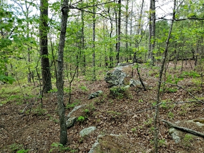 90.68 Acres Hunting/Recreational Land In Nashoba Oklahoma - image 17