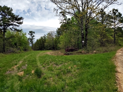 90.68 Acres Hunting/Recreational Land In Nashoba Oklahoma - image 20