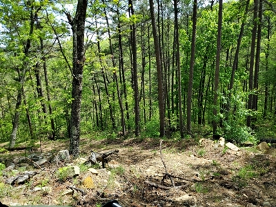 90.68 Acres Hunting/Recreational Land In Nashoba Oklahoma - image 14