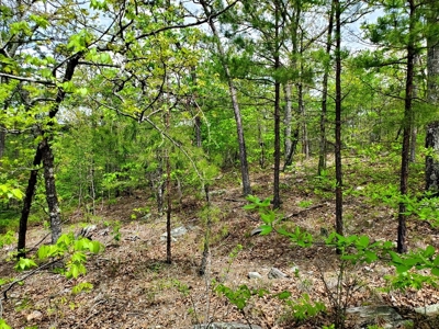 79.15 Acres Prime Hunting/Recreational Land Nashoba Oklahoma - image 1