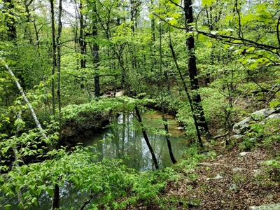 79.15 Acres Prime Hunting/Recreational Land Nashoba Oklahoma - image 34