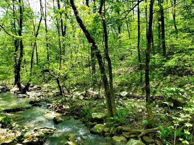 79.15 Acres Prime Hunting/Recreational Land Nashoba Oklahoma - image 18
