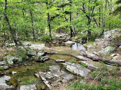79.15 Acres Prime Hunting/Recreational Land Nashoba Oklahoma - image 4