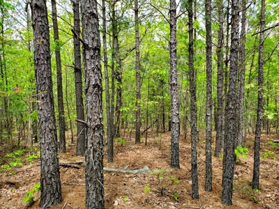 79.15 Acres Prime Hunting/Recreational Land Nashoba Oklahoma - image 8