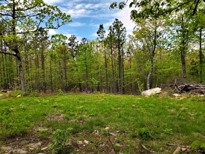 79.15 Acres Prime Hunting/Recreational Land Nashoba Oklahoma - image 13
