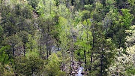 79.15 Acres Prime Hunting/Recreational Land Nashoba Oklahoma - image 23