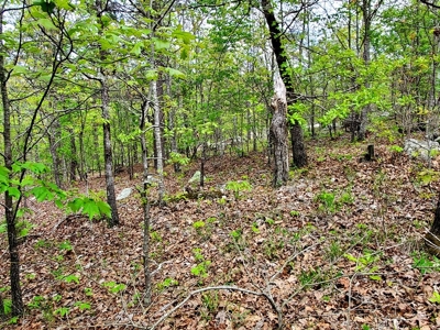 79.15 Acres Prime Hunting/Recreational Land Nashoba Oklahoma - image 6