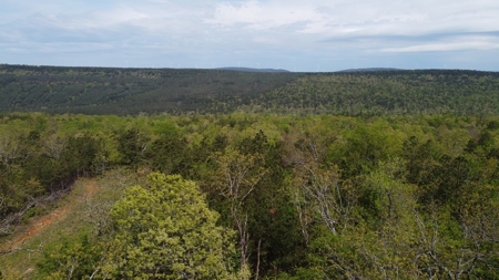 79.15 Acres Prime Hunting/Recreational Land Nashoba Oklahoma - image 20