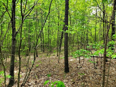 79.15 Acres Prime Hunting/Recreational Land Nashoba Oklahoma - image 10