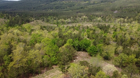79.15 Acres Prime Hunting/Recreational Land Nashoba Oklahoma - image 26