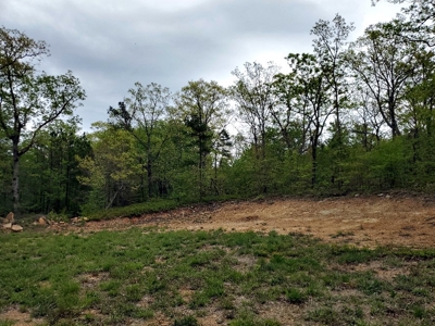 79.15 Acres Prime Hunting/Recreational Land Nashoba Oklahoma - image 32