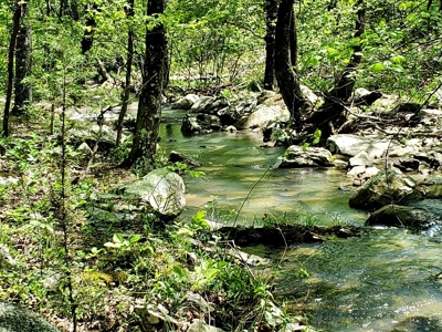 79.15 Acres Prime Hunting/Recreational Land Nashoba Oklahoma - image 19