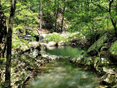79.15 Acres Prime Hunting/Recreational Land Nashoba Oklahoma - image 14