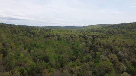 79.15 Acres Prime Hunting/Recreational Land Nashoba Oklahoma - image 21