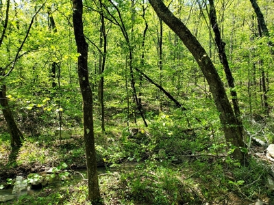 79.15 Acres Prime Hunting/Recreational Land Nashoba Oklahoma - image 17