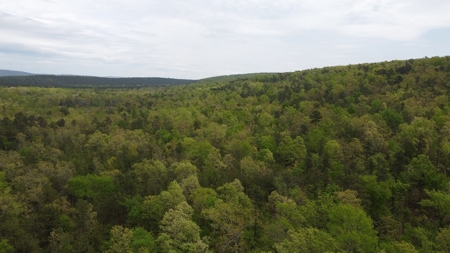79.15 Acres Prime Hunting/Recreational Land Nashoba Oklahoma - image 25