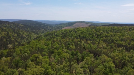 45.10 Acres Mountain Land For Sale Nashoba Ok - image 3