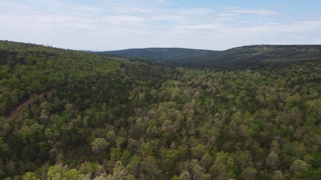 45.10 Acres Mountain Land For Sale Nashoba Ok - image 2