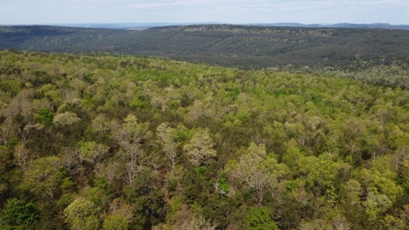 17.8 Acres Mountain Land For Sale Nashoba Okla - image 2