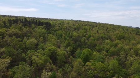 17.19 Acres Mountain/Recreational Land For Sale Nashoba Ok - image 4