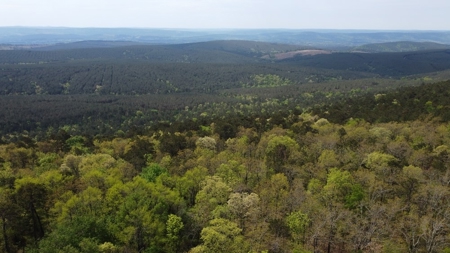 17.19 Acres Mountain/Recreational Land For Sale Nashoba Ok - image 2