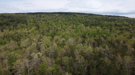 17.19 Acres Mountain/Recreational Land For Sale Nashoba Ok - image 3