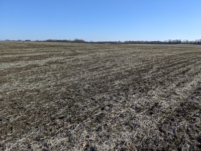 Land Auction, 75+/- Acres, Carroll County, MO - image 27