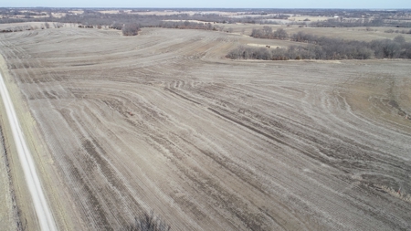 Land Auction, 75+/- Acres, Carroll County, MO - image 21