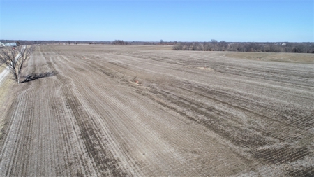 Land Auction, 75+/- Acres, Carroll County, MO - image 1