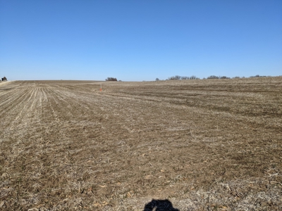 Land Auction, 75+/- Acres, Carroll County, MO - image 23