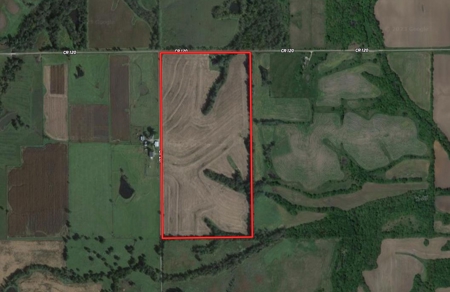 Land Auction, 75+/- Acres, Carroll County, MO - image 7