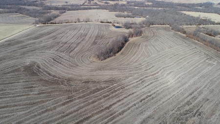 Land Auction, 75+/- Acres, Carroll County, MO - image 10