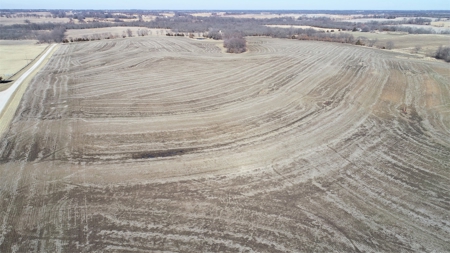 Land Auction, 75+/- Acres, Carroll County, MO - image 2