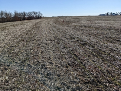 Land Auction, 75+/- Acres, Carroll County, MO - image 31