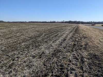 Land Auction, 75+/- Acres, Carroll County, MO - image 26