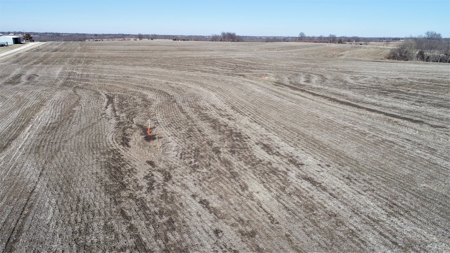 Land Auction, 75+/- Acres, Carroll County, MO - image 3