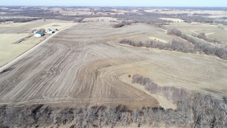 Land Auction, 75+/- Acres, Carroll County, MO - image 5