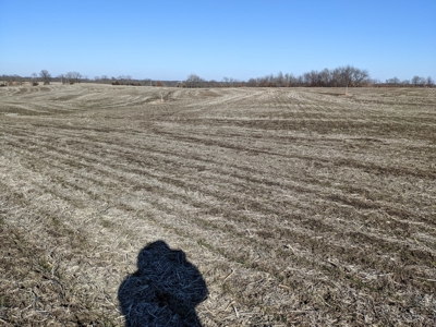 Land Auction, 75+/- Acres, Carroll County, MO - image 8