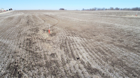Land Auction, 75+/- Acres, Carroll County, MO - image 4