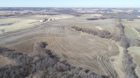 Land Auction, 75+/- Acres, Carroll County, MO - image 15