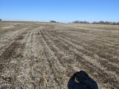 Land Auction, 75+/- Acres, Carroll County, MO - image 24