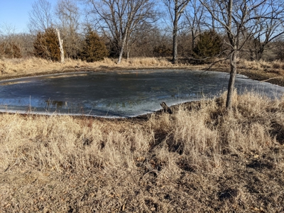 Land Auction, 75+/- Acres, Carroll County, MO - image 32