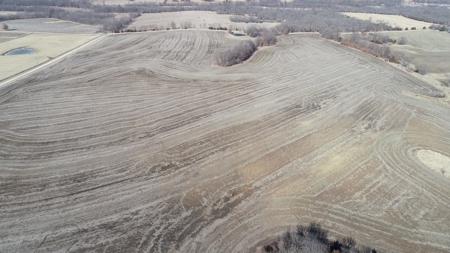 Land Auction, 75+/- Acres, Carroll County, MO - image 12