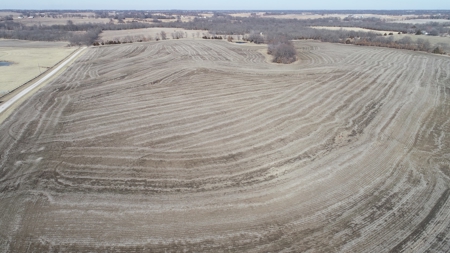 Land Auction, 75+/- Acres, Carroll County, MO - image 19