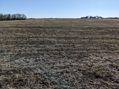 Land Auction, 75+/- Acres, Carroll County, MO - image 30