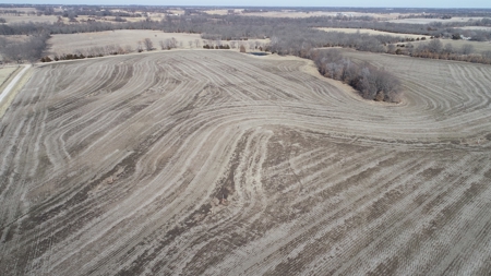 Land Auction, 75+/- Acres, Carroll County, MO - image 18