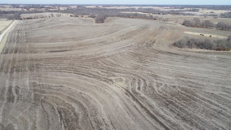Land Auction, 75+/- Acres, Carroll County, MO - image 20