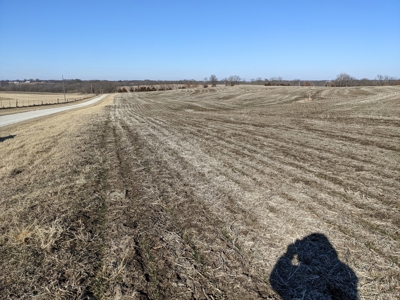 Land Auction, 75+/- Acres, Carroll County, MO - image 29